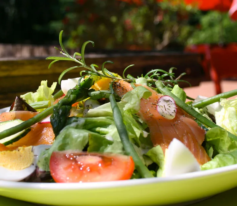 Assiette servie pendant une pause au parc